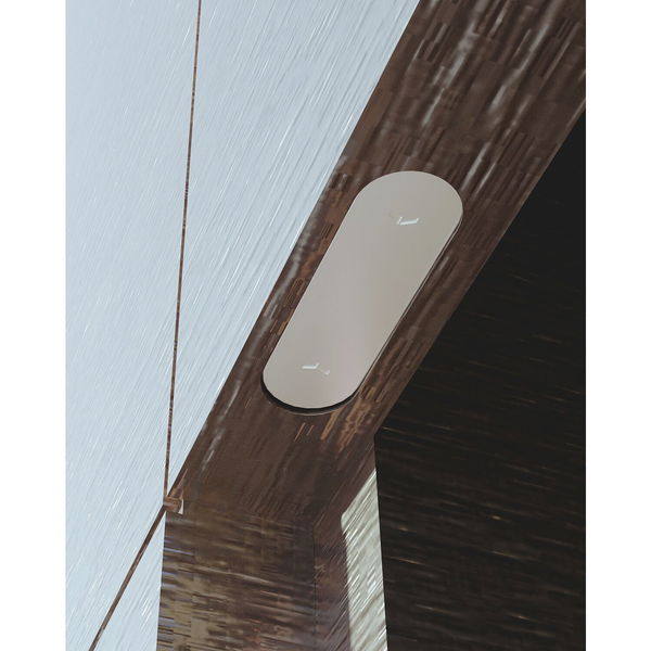 Türmagnet Magnotica Pro E, 73 x 22 mm, Abdeckkappe oval, Zamak