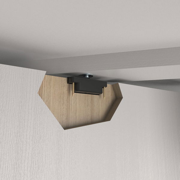 Türband Pivotica Pro E FM, max. Türgewicht 100kg,Türstärke ab 40 mm