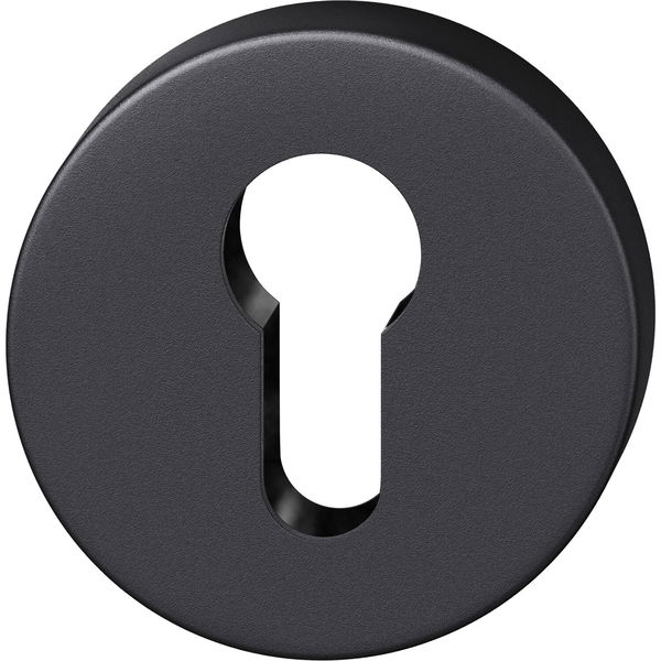 FSB Zylinderrosette rund 17 1735 01510 AGL, Aluminium