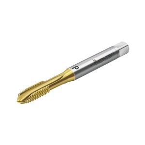 WALTER Maschinengewindebohrer Prototex X-pert P