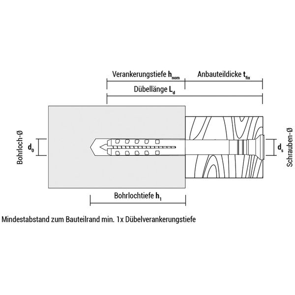 CELO Nageldübel NP Flachbund mit Schraube vormontiert – Nylon/Stah