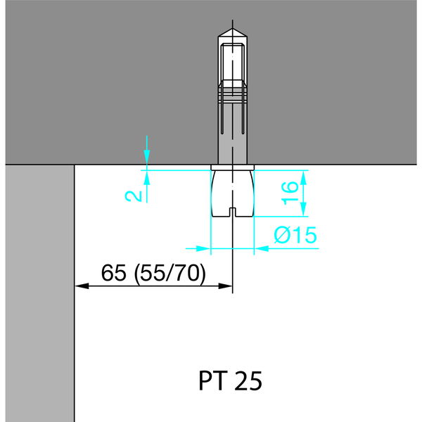 Zapfen PT 25 Mundus, ø 14 mm, mit Dübel, Edelstahl (38.250) | Glastürbeschlag – Zubehör dormakaba