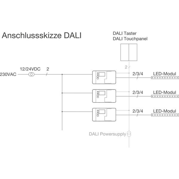 LED-Dimmer Basic DALI/Switch 12-24 V 1-4 Kanäle, max. 2,5A