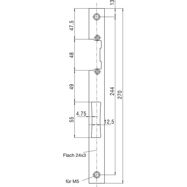 WSS Schließblech für E-Türöffner gerade 270x24x3mm links/rechts Edelstahl