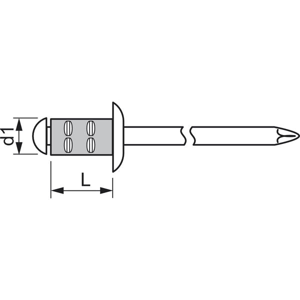 GESIPA Poly Grip Mehrbereichsniete Grossflachkopf 4.0×10, Alu/Edelstahl